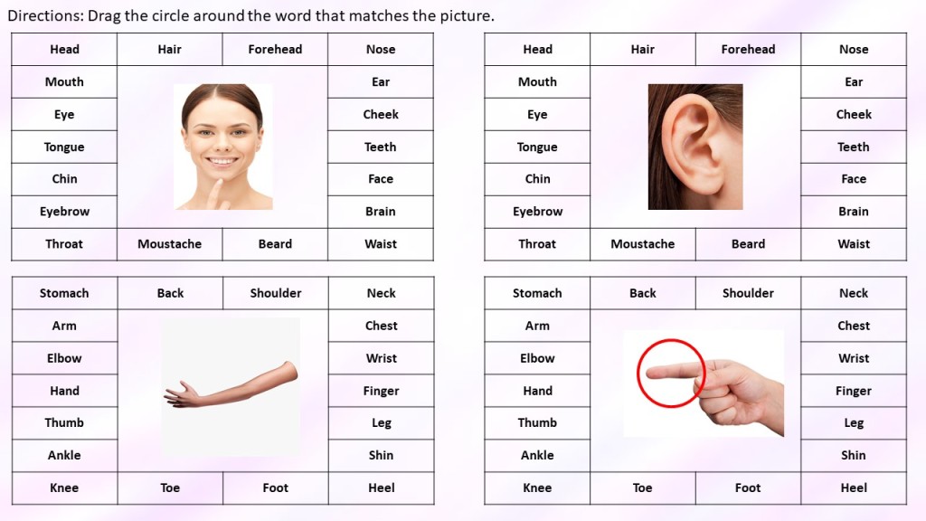 parts of the body vocabulary digital clip cards